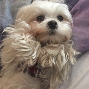 Meet your Posher, Fiona